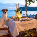 Büsum Urlaub mit Hund